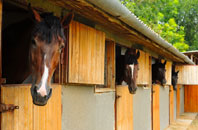 free Lumphinnans stable construction quotes